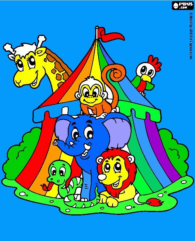 ANIMAIS DE CIRCO COLORIDOS para colorir e imprimir