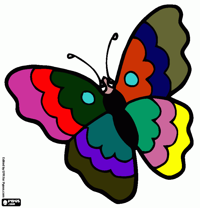 borboleta da jullia para colorir e imprimir