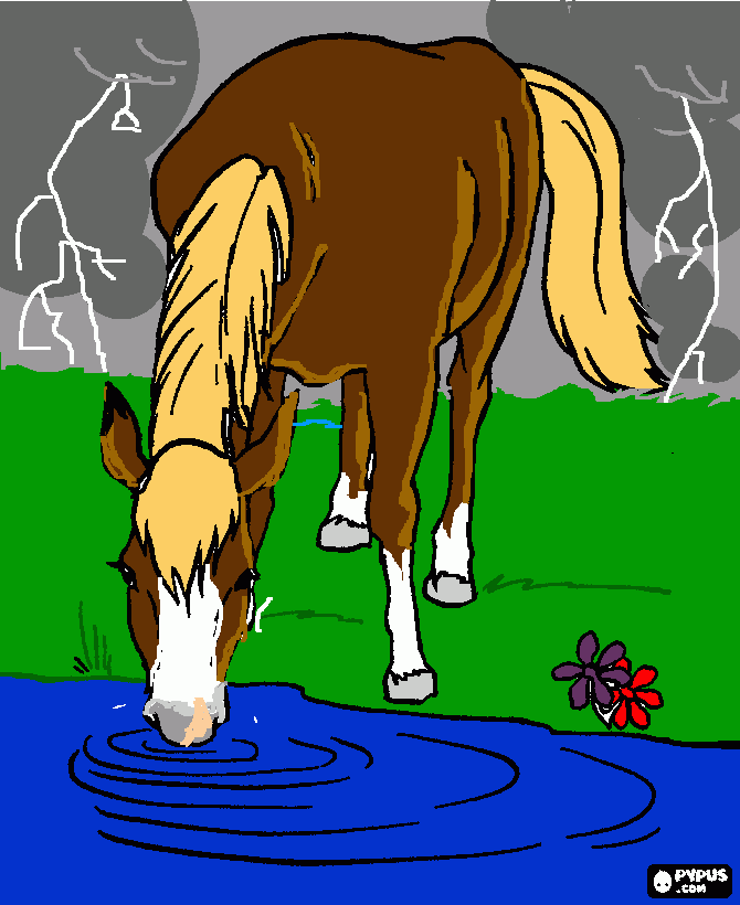 cavalo tomando agua em dia de tenpestade para colorir e imprimir