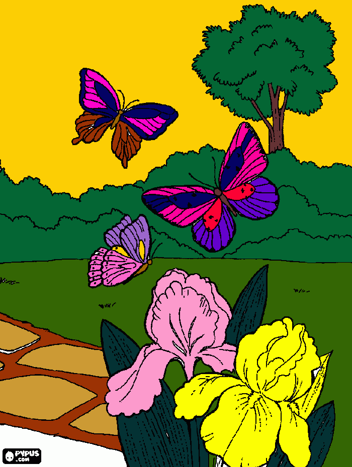 desenho de tres borboletas voando em volta para colorir e imprimir