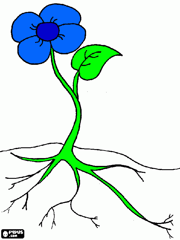 Flor Azul Para Imprimir Desenho Flor Azul