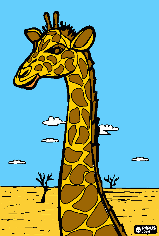 giraffas para colorir e imprimir