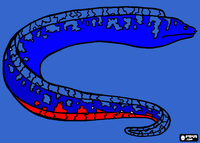 o peixe de raio que mata os peixinhos para colorir e imprimir