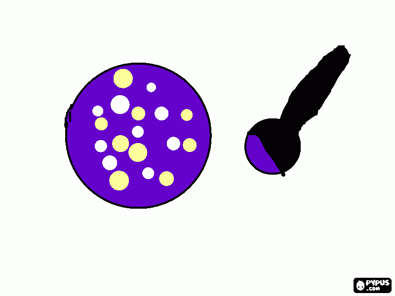 Tigela de açaí para colorir e imprimir