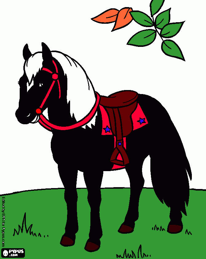 um cavalo bonito para colorir e imprimir